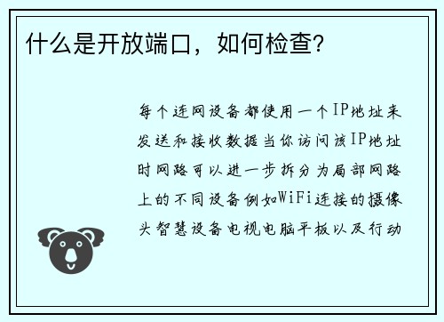 什么是开放端口，如何检查？ 